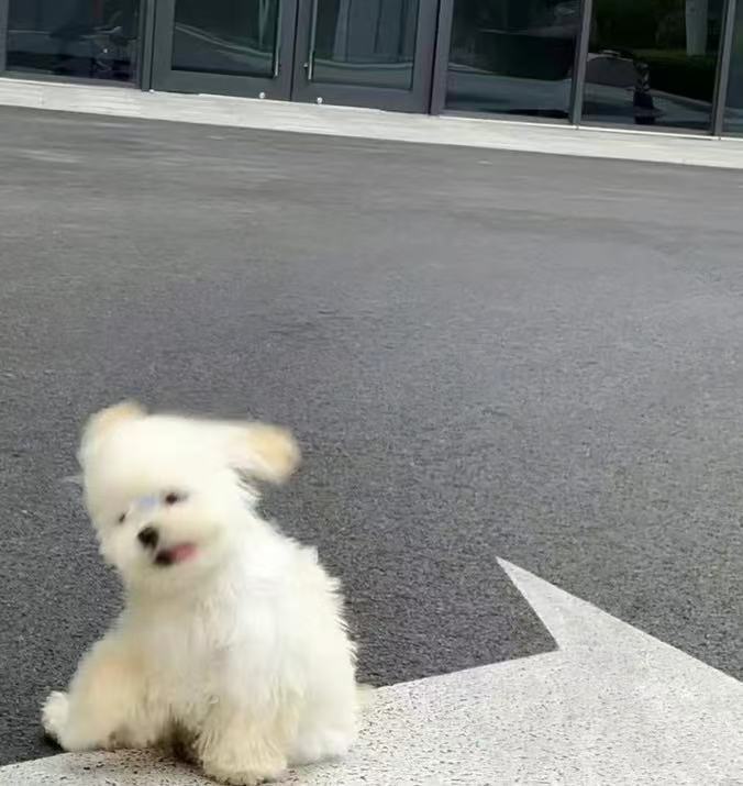 上海