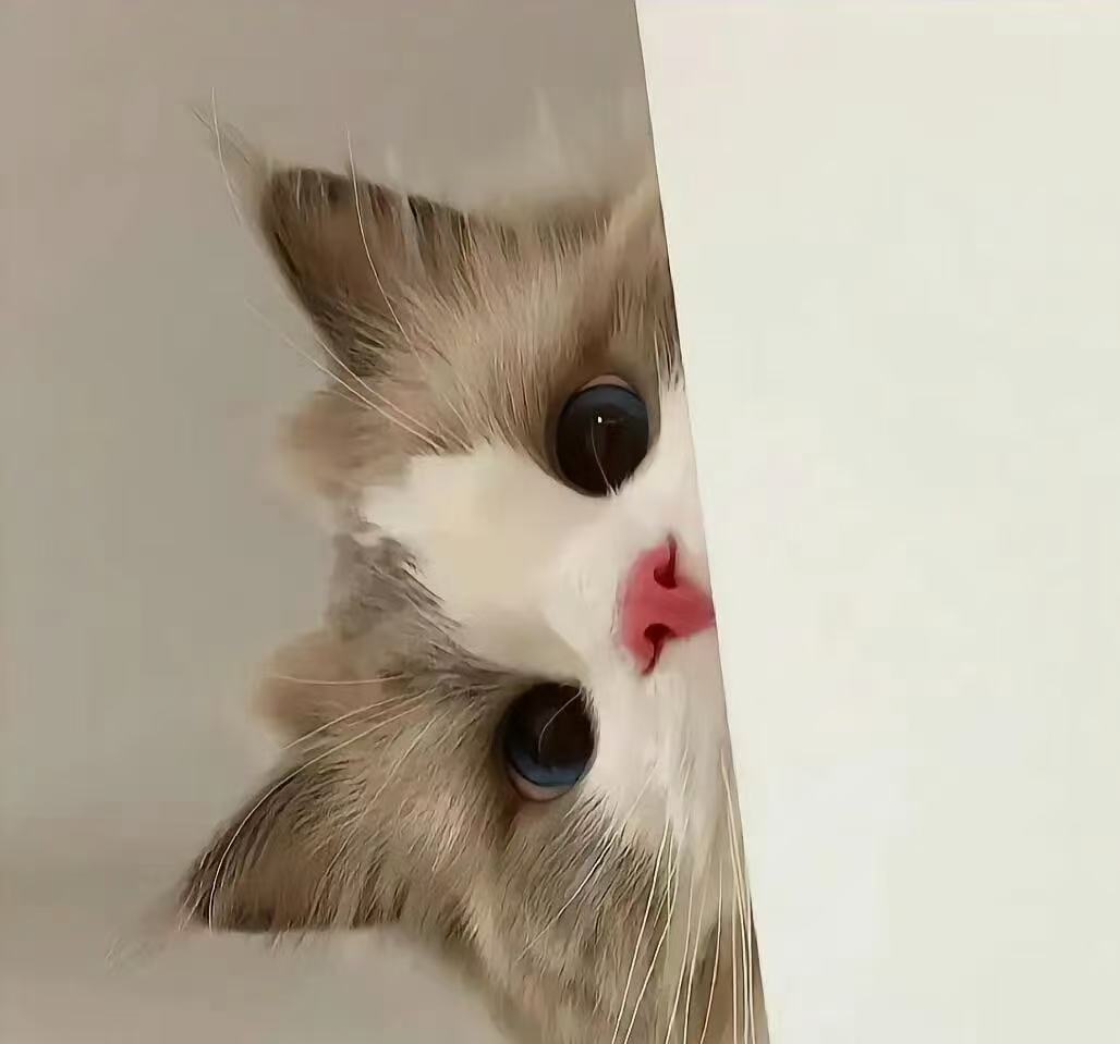 杭州